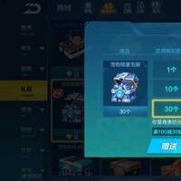 【担保】【道具】宠物能量X30
