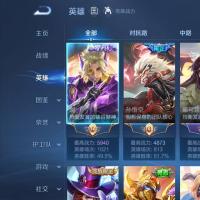 V10 5典藏 13无双 11星传说 123传说 239史诗 692皮肤 至圣王者JYM2DR7GX