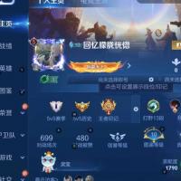 V10 20典藏 10无双 12星传说 134传说 265史诗 758皮肤 最强王者JYM23ZJZM