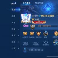 极品号 338皮 