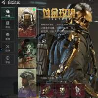 勇武火区化生，带115金JYM27SH