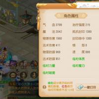 成品辅助 外观拉满 有盒子JYM2PZGL7