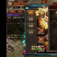 高氪高闪避无敌法师不议价手慢无JYM4JR665
