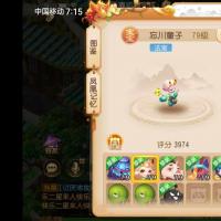  4.7w分辅助双神兽各种装备